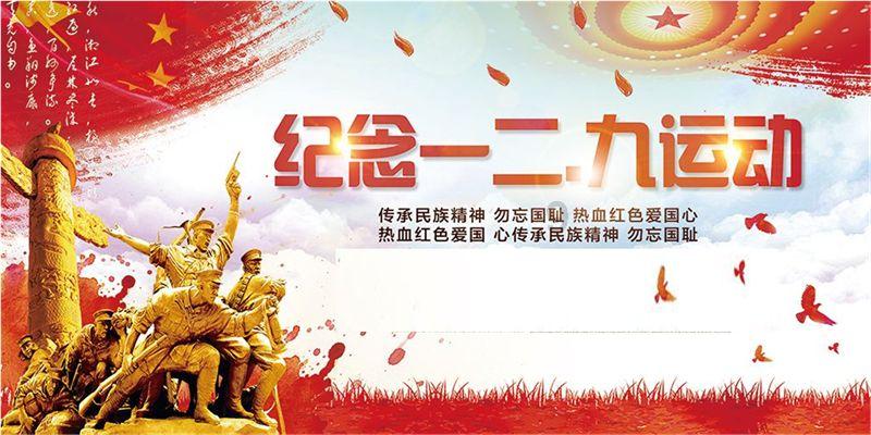 寂静森林找星星
